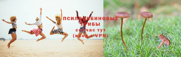 спайс Гусиноозёрск