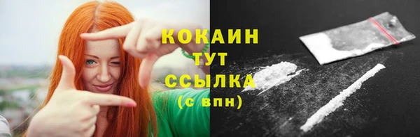 ALPHA-PVP Гусев