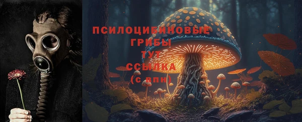 спайс Гусиноозёрск