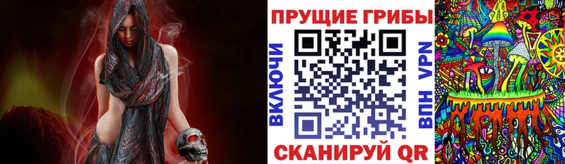Псилоцибиновые грибы Psilocybe Нижнеудинск